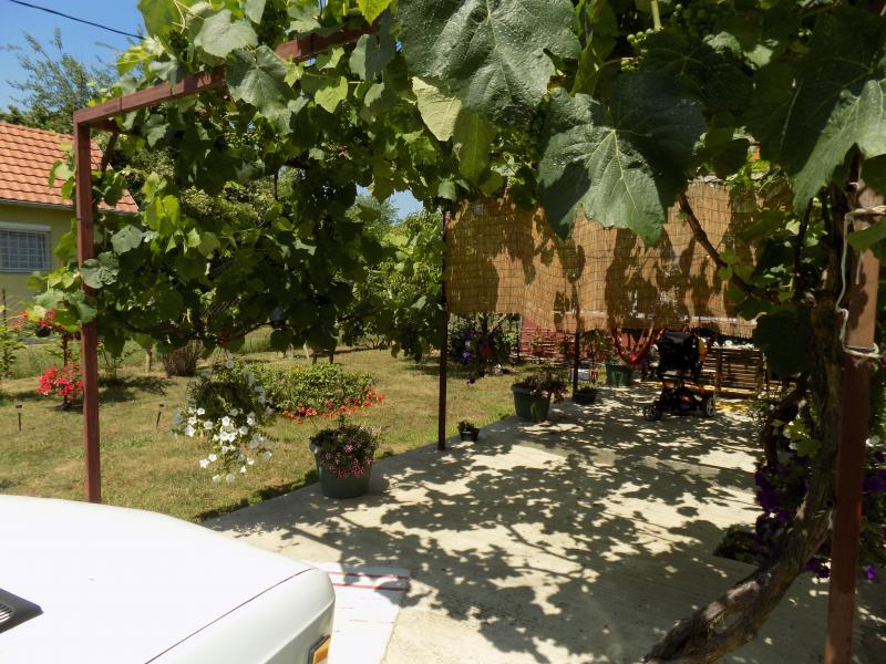 Kuća sa velikim placem za odmor i uživanje u blizini Morave 21