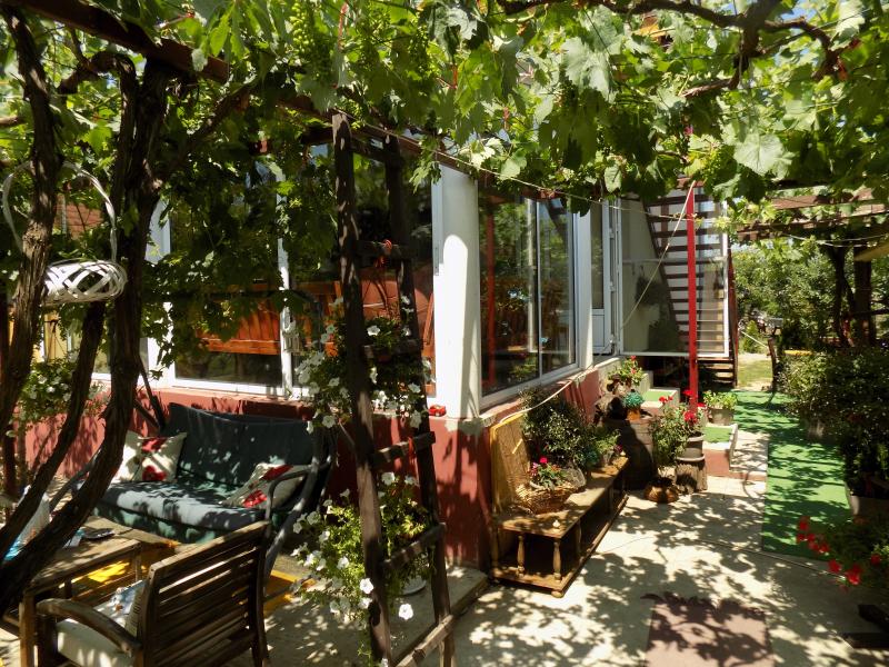 Kuća sa velikim placem za odmor i uživanje u blizini Morave 22