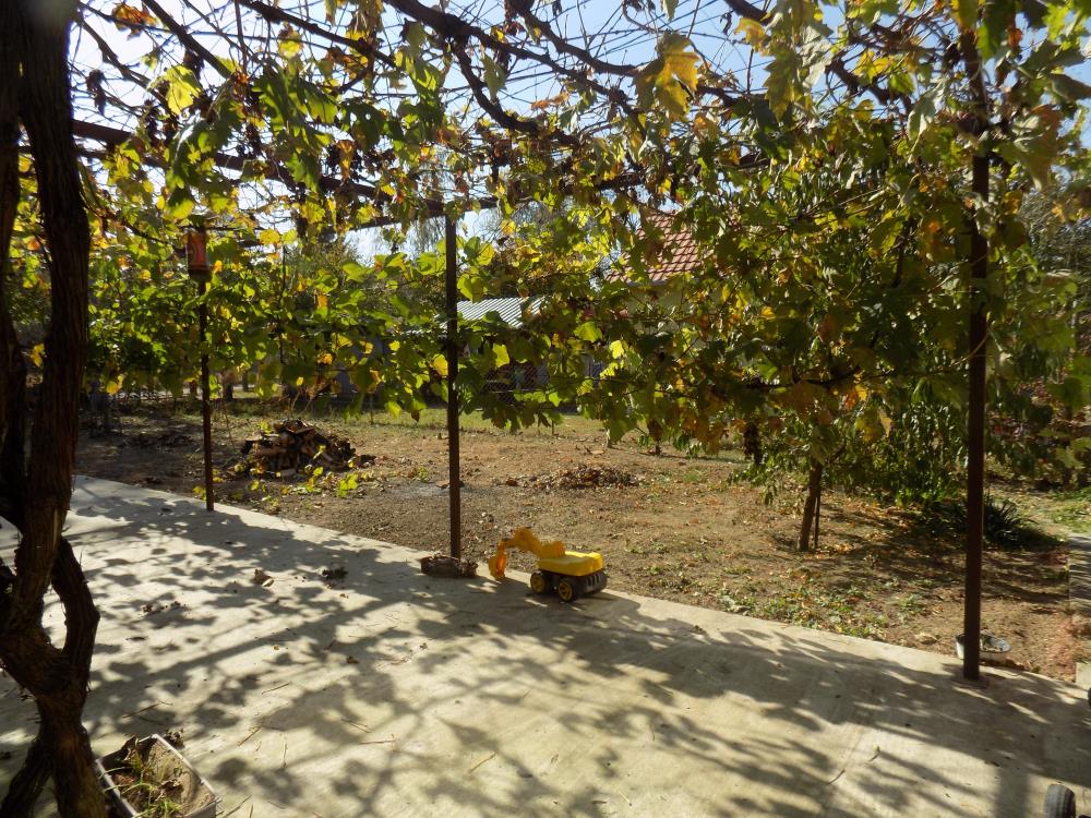 Kuća sa velikim placem za odmor i uživanje u blizini Morave 15