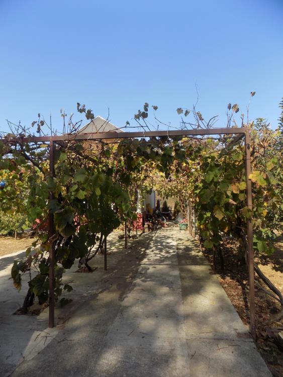 Kuća sa velikim placem za odmor i uživanje u blizini Morave 18