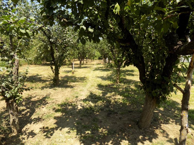 Kuća sa velikim placem za odmor i uživanje u blizini Morave 29