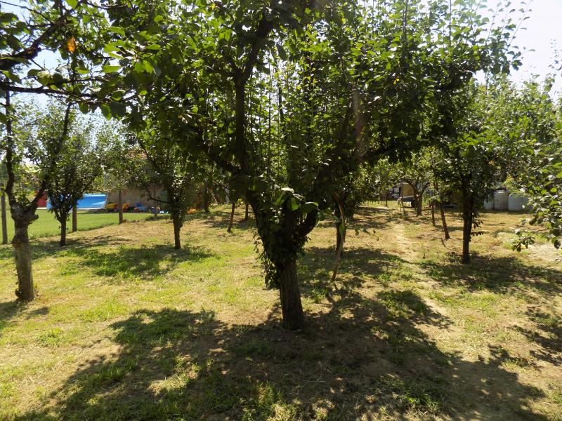 Kuća sa velikim placem za odmor i uživanje u blizini Morave 30