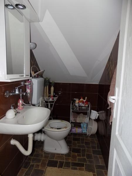 Kuća sa velikim placem za odmor i uživanje u blizini Morave 34