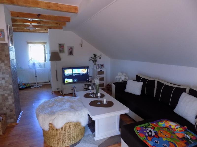 Kuća sa velikim placem za odmor i uživanje u blizini Morave 2