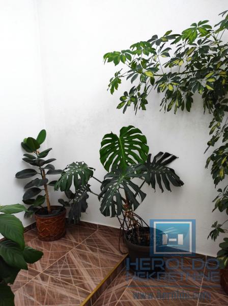 Kuća/Vrbovo/Vladičin Han 15