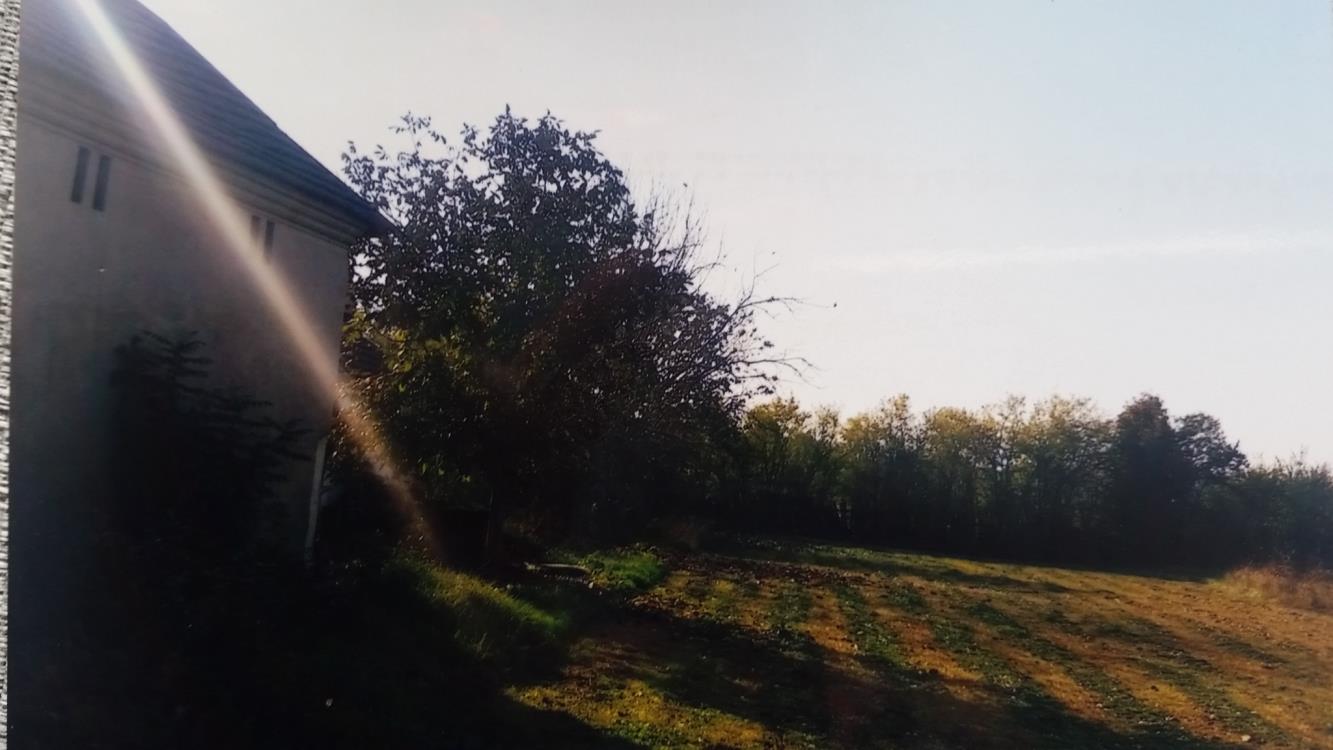 Kuće uz glavni put 3