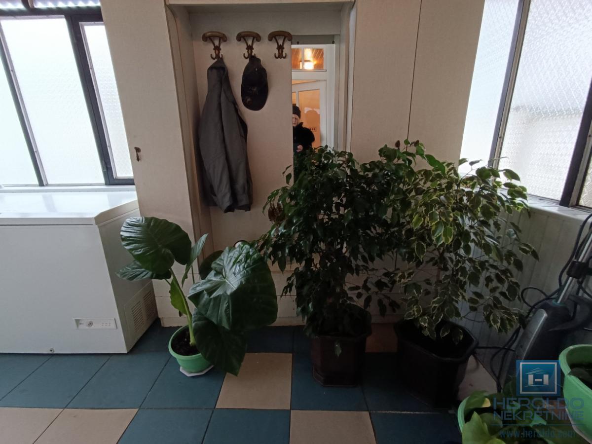 Manja, prizemna kuća 19