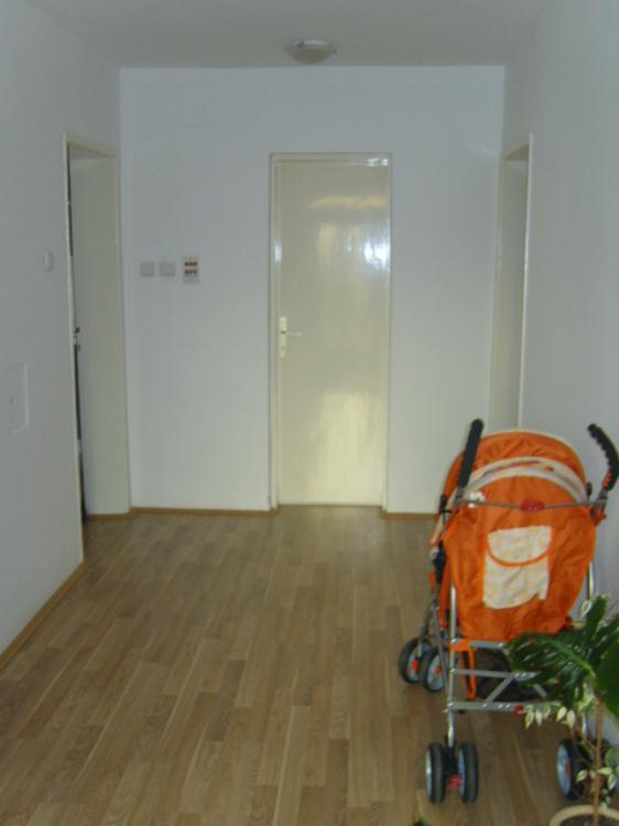 Odlična kuća sa pomoćnim objektom 4