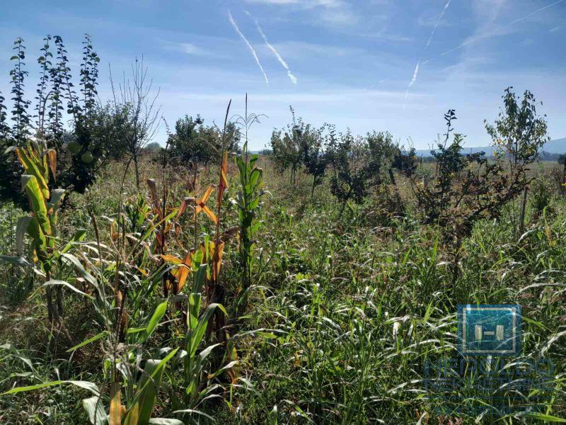 Odlicna parcela za gradnju 8