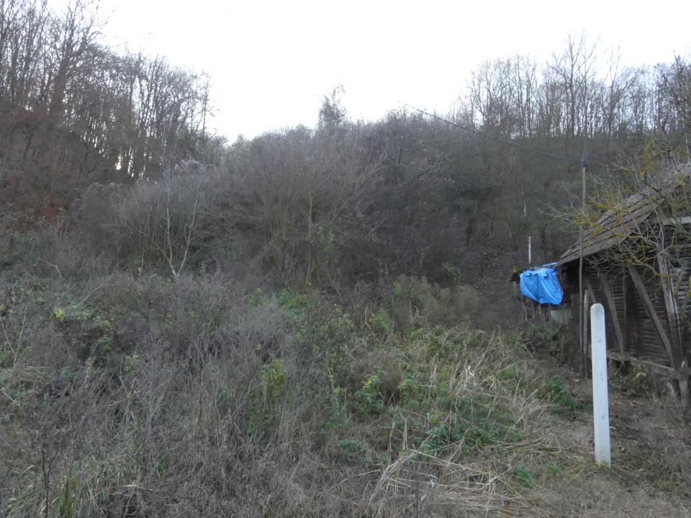 Ograđen plac, Novo Lanište 2