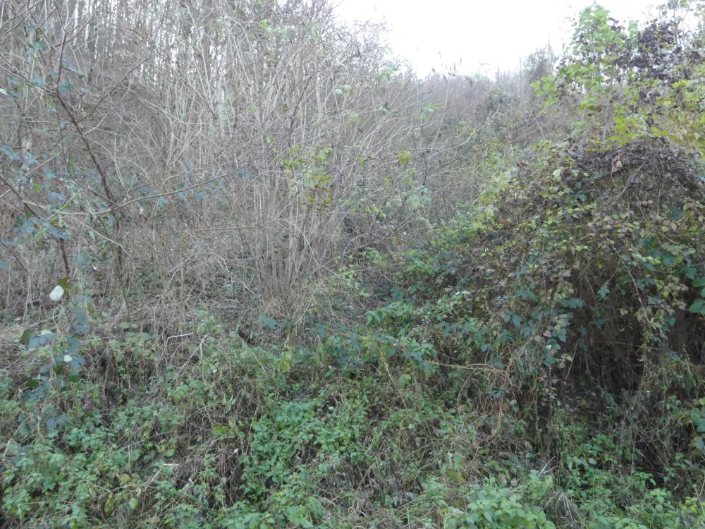 Ograđen plac, Novo Lanište 5