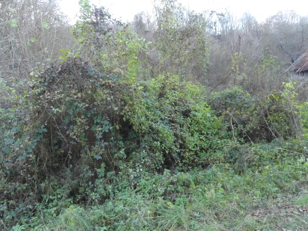 Ograđen plac, Novo Lanište 6