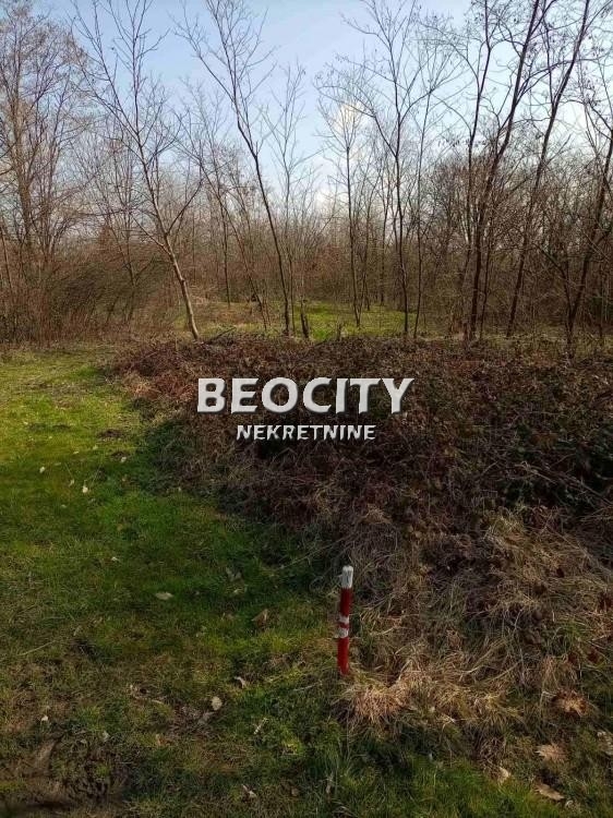 Plac, Sopot, Ljubivoja Gajića ID: 104574 5