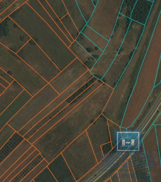 Poljoprivredno zemljište selo Ribince 1