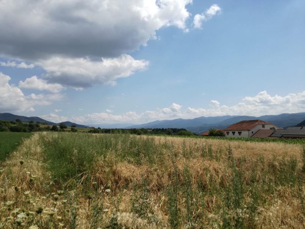 Poljoprivredno zemljište Suvi dol 6