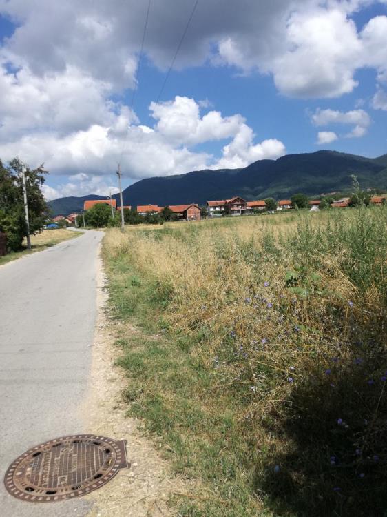 Poljoprivredno zemljište Suvi dol 2