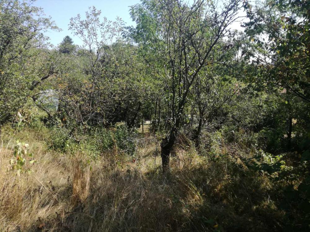 Poljoprivredno zemljište Vranje Suvi dol 2