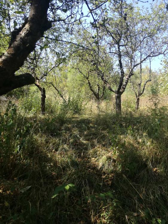 Poljoprivredno zemljište Vranje Suvi dol 3