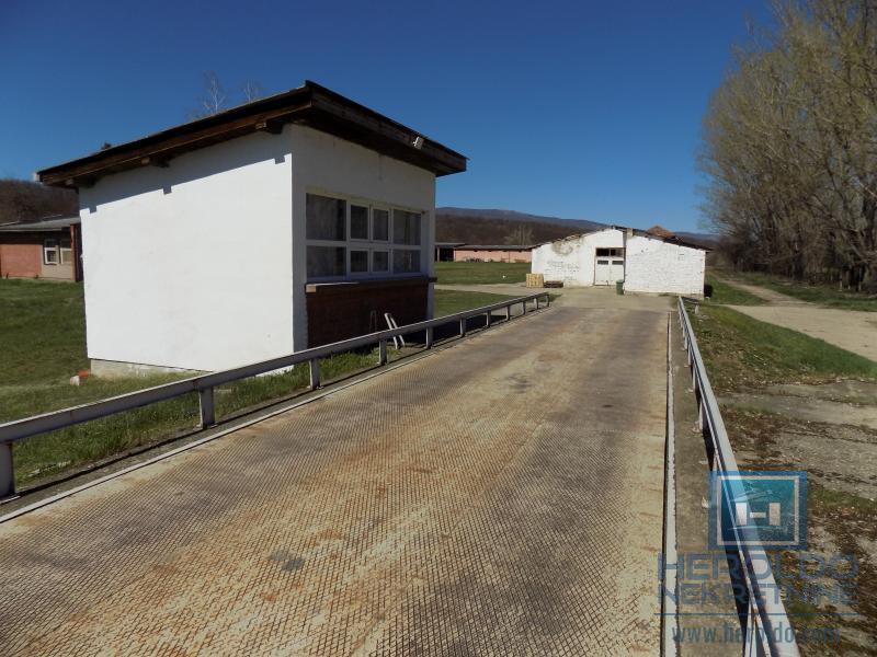 Poslovni objekat u Sumrakovcu - Boljevac 31