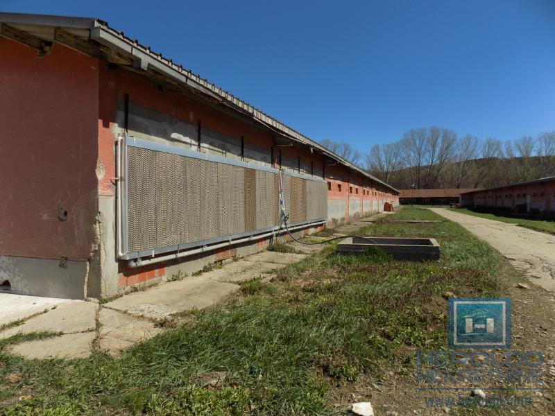 Poslovni objekat u Sumrakovcu - Boljevac 45