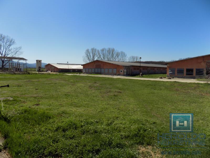 Poslovni objekat u Sumrakovcu - Boljevac 11