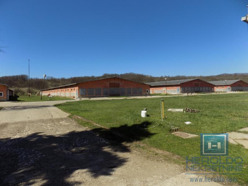 Poslovni objekat u Sumrakovcu - Boljevac 12