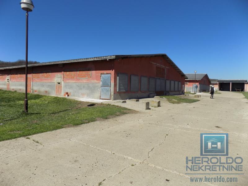 Poslovni objekat u Sumrakovcu - Boljevac 19
