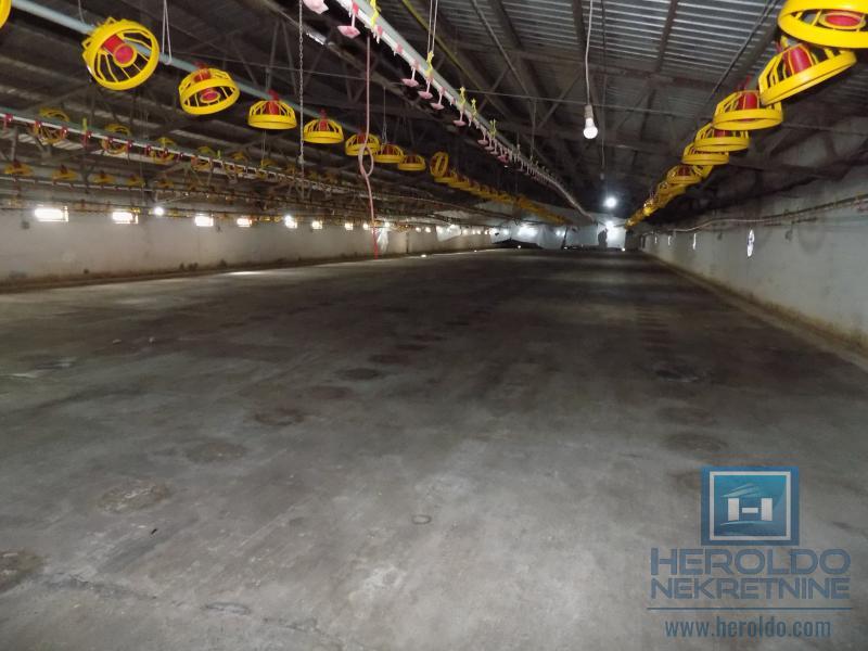 Poslovni objekat u Sumrakovcu - Boljevac 22