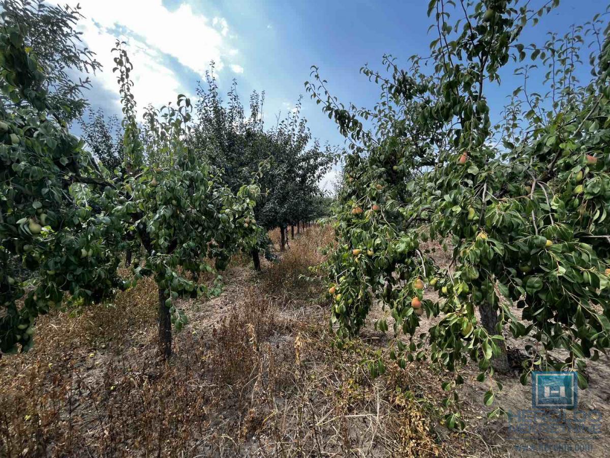 Prizemna vikendica sa velikim placem 24