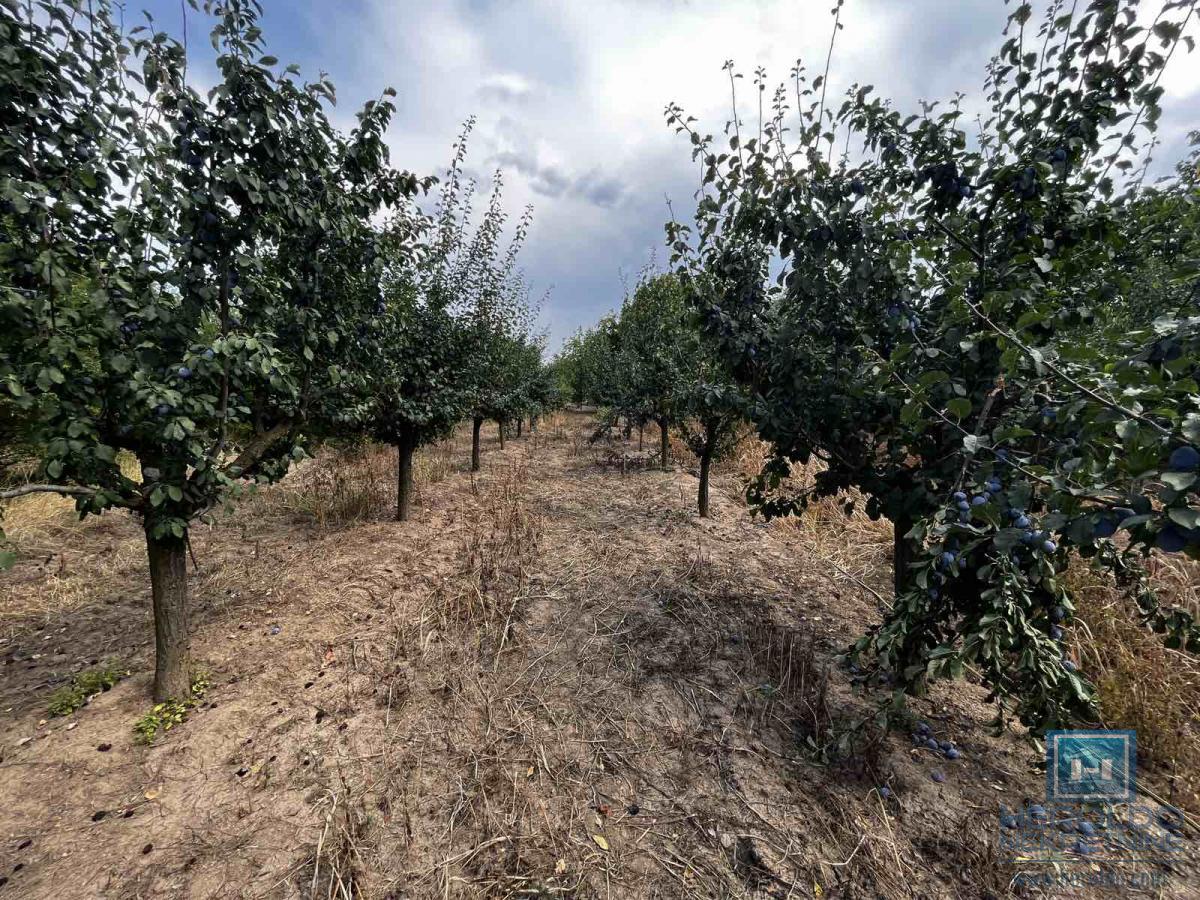 Prizemna vikendica sa velikim placem 25