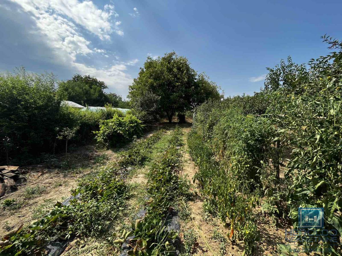 Prizemna vikendica sa velikim placem 19