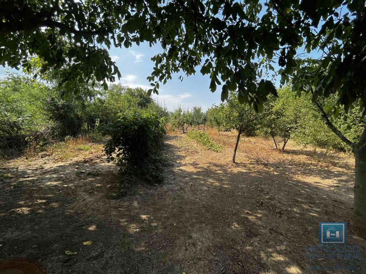 Prizemna vikendica sa velikim placem 21