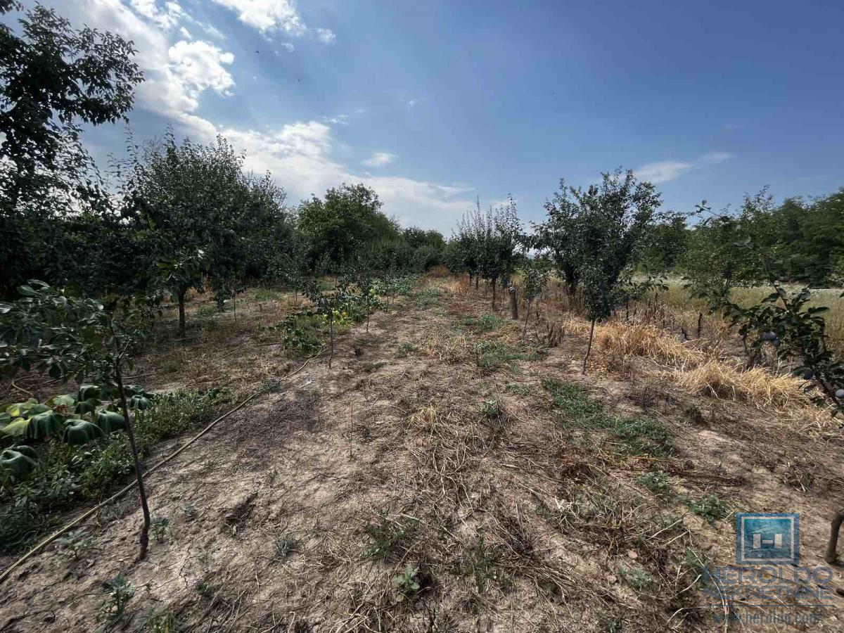 Prizemna vikendica sa velikim placem 22