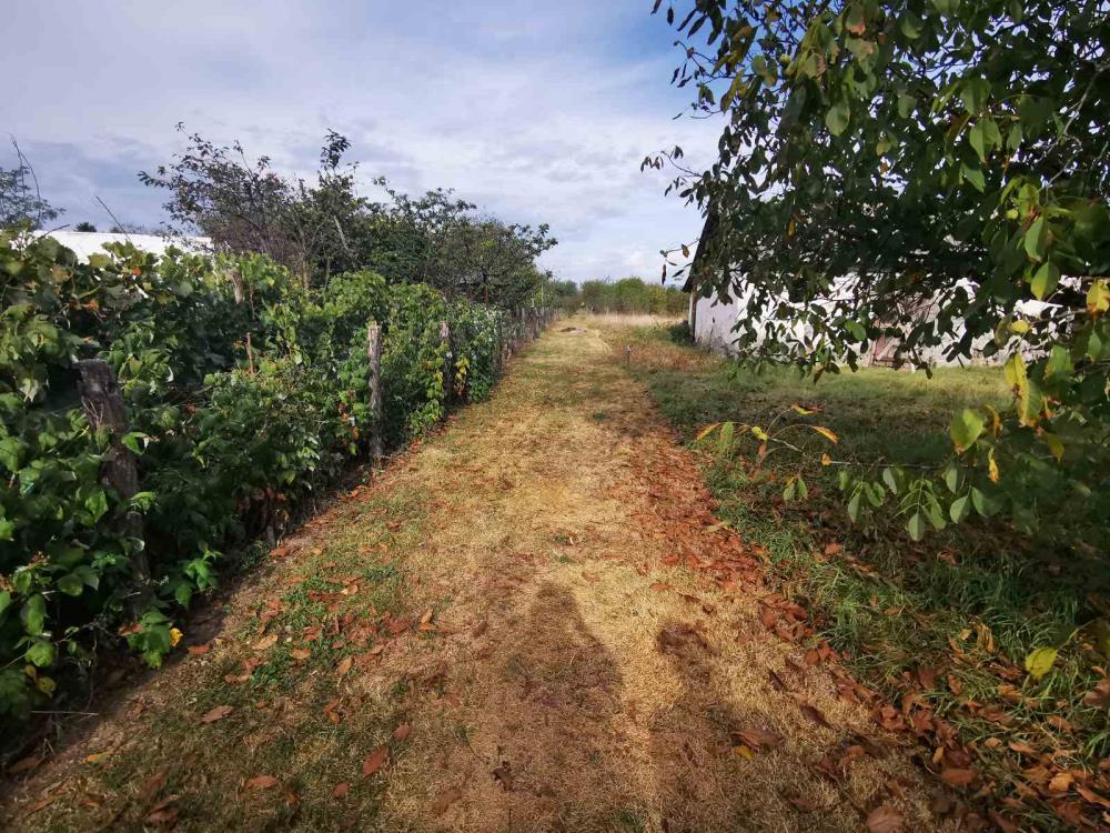 Prizemna vikendica sa velikim placem 16