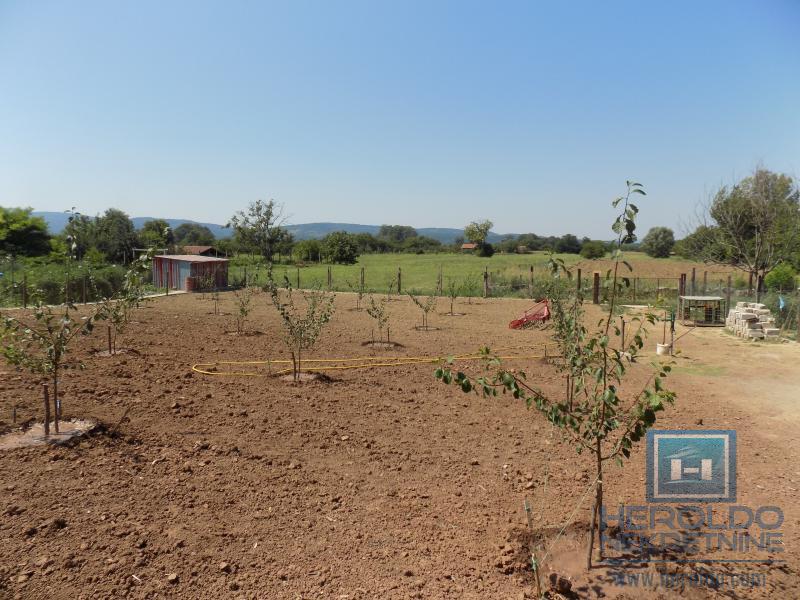 Kompletno imanje sa dve kuće, voćnjakom i pomoćnim objektima – sve na jednom mestu! 13