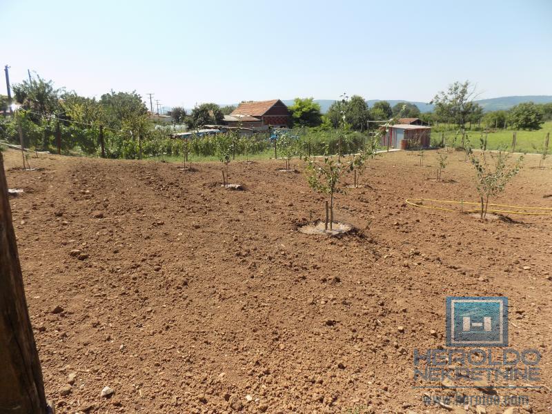 Kompletno imanje sa dve kuće, voćnjakom i pomoćnim objektima – sve na jednom mestu! 14