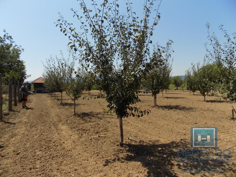 Kompletno imanje sa dve kuće, voćnjakom i pomoćnim objektima – sve na jednom mestu! 16