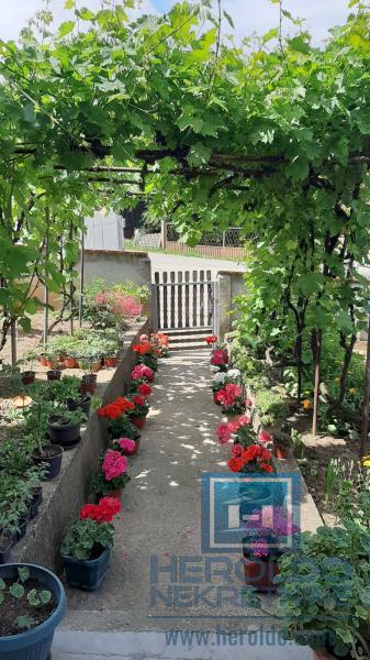 Prostrano seosko domaćinstvo u selu Jezero 2