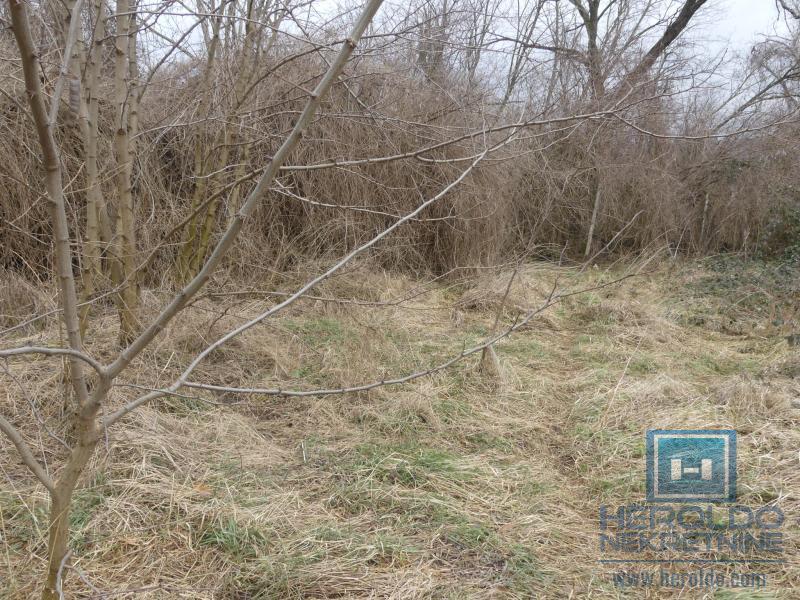 Seoska kuća u Dragocvetu 21