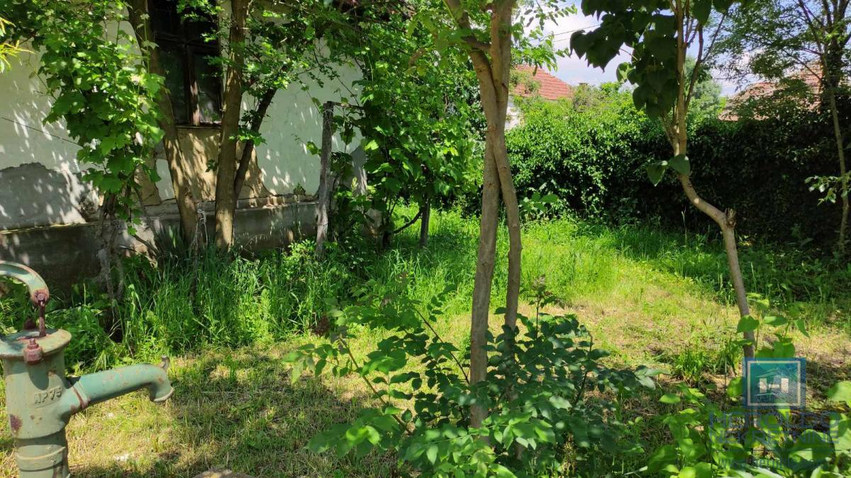 Seosko domacinstvo na 58 ari placa Ribare kod Jagodine 10