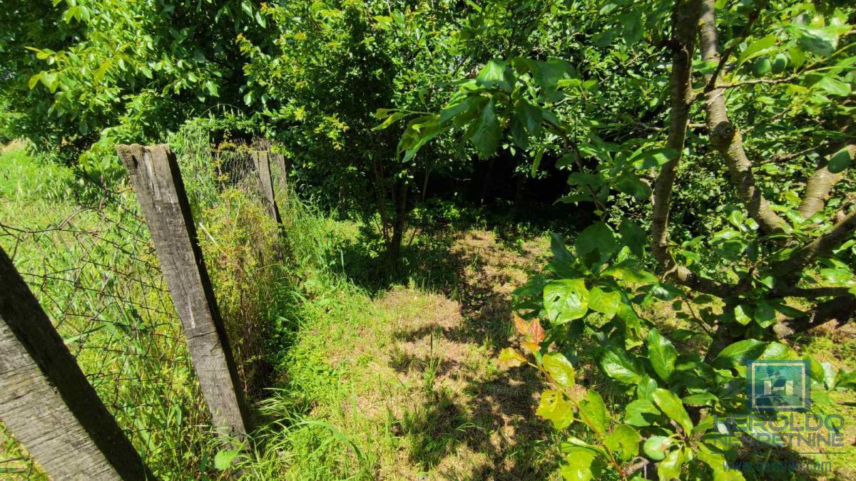 Seosko domacinstvo na 58 ari placa Ribare kod Jagodine 11