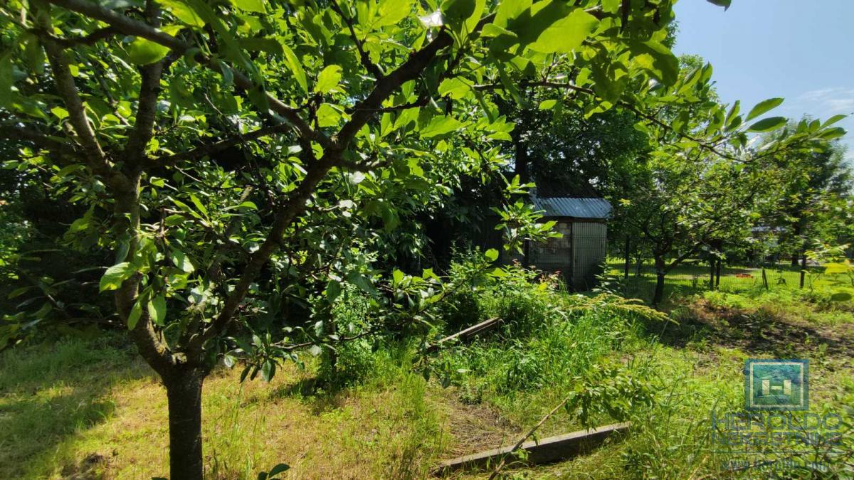 Seosko domacinstvo na 58 ari placa Ribare kod Jagodine 13