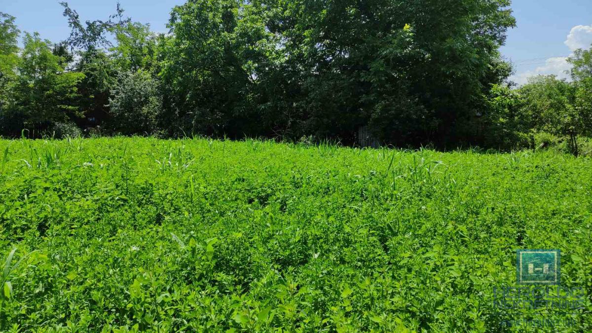 Seosko domacinstvo na 58 ari placa Ribare kod Jagodine 14