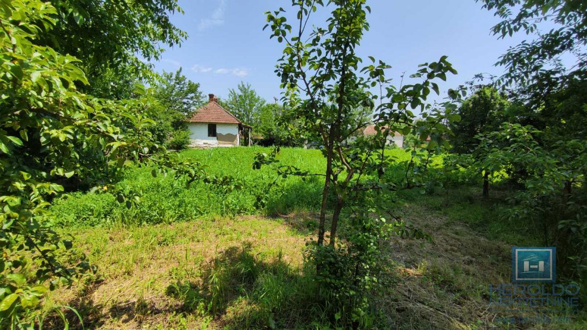 Seosko domacinstvo na 58 ari placa Ribare kod Jagodine 15