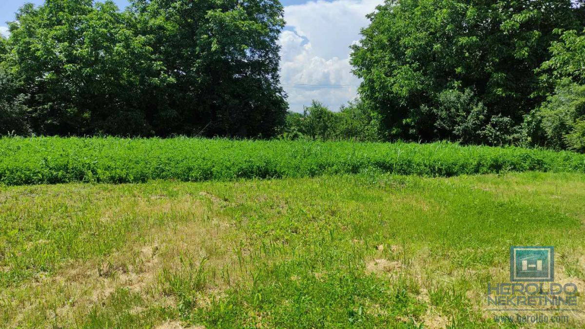 Seosko domacinstvo na 58 ari placa Ribare kod Jagodine 2