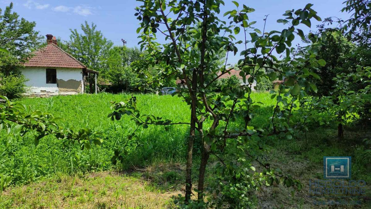 Seosko domacinstvo na 58 ari placa Ribare kod Jagodine 3