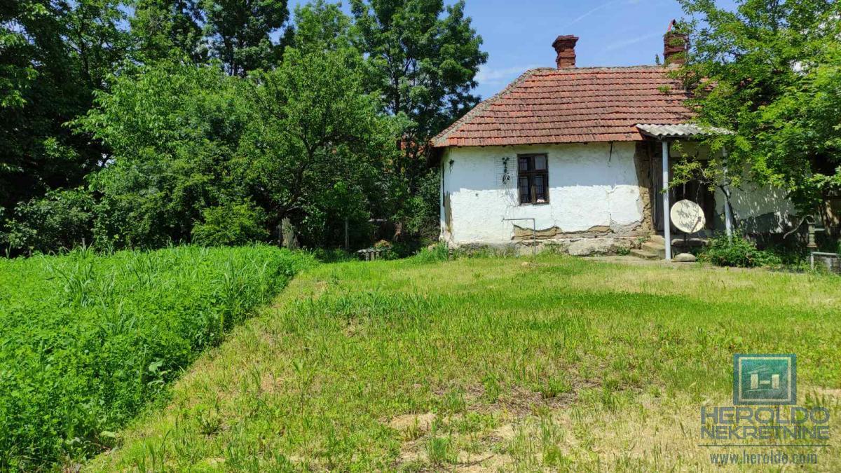 Seosko domacinstvo na 58 ari placa Ribare kod Jagodine 4