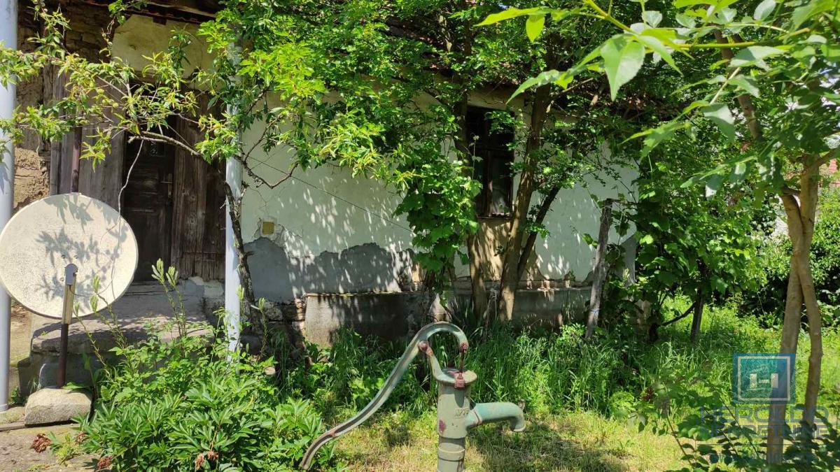 Seosko domacinstvo na 58 ari placa Ribare kod Jagodine 7