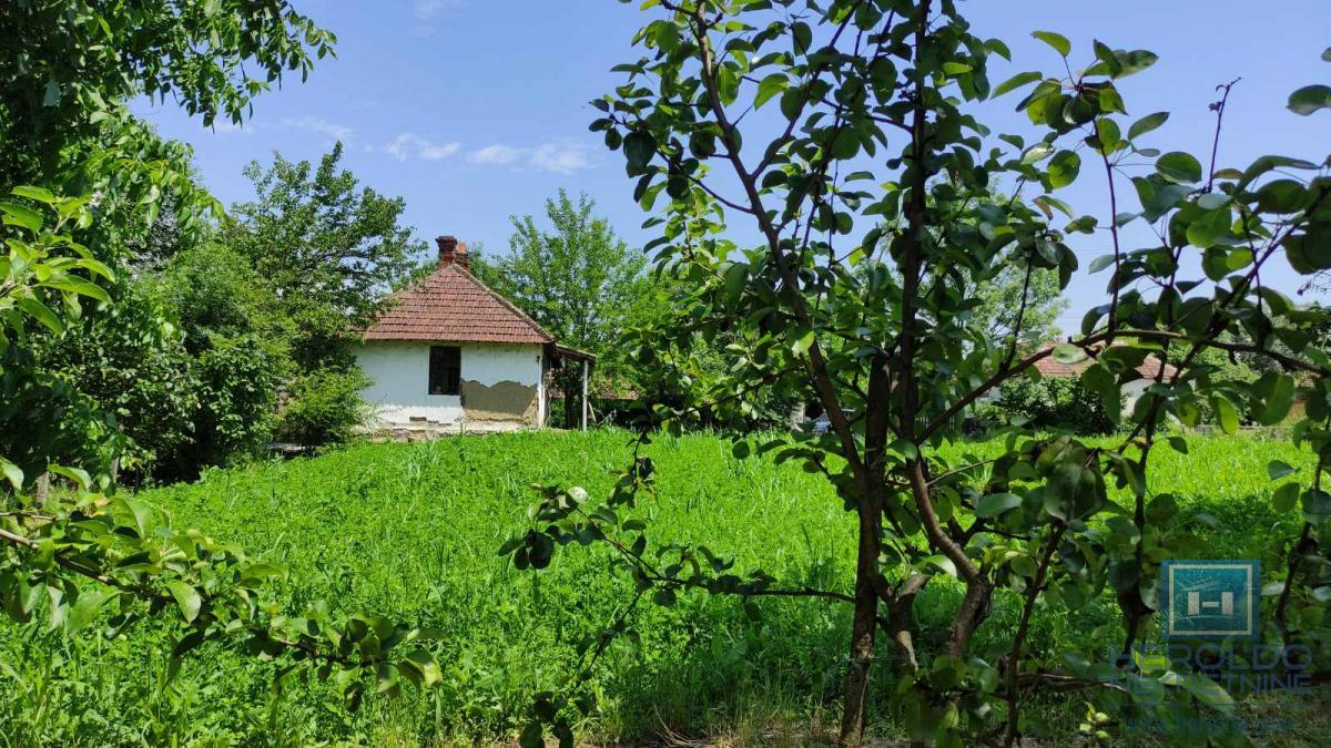 Seosko domacinstvo na 58 ari placa Ribare kod Jagodine 16