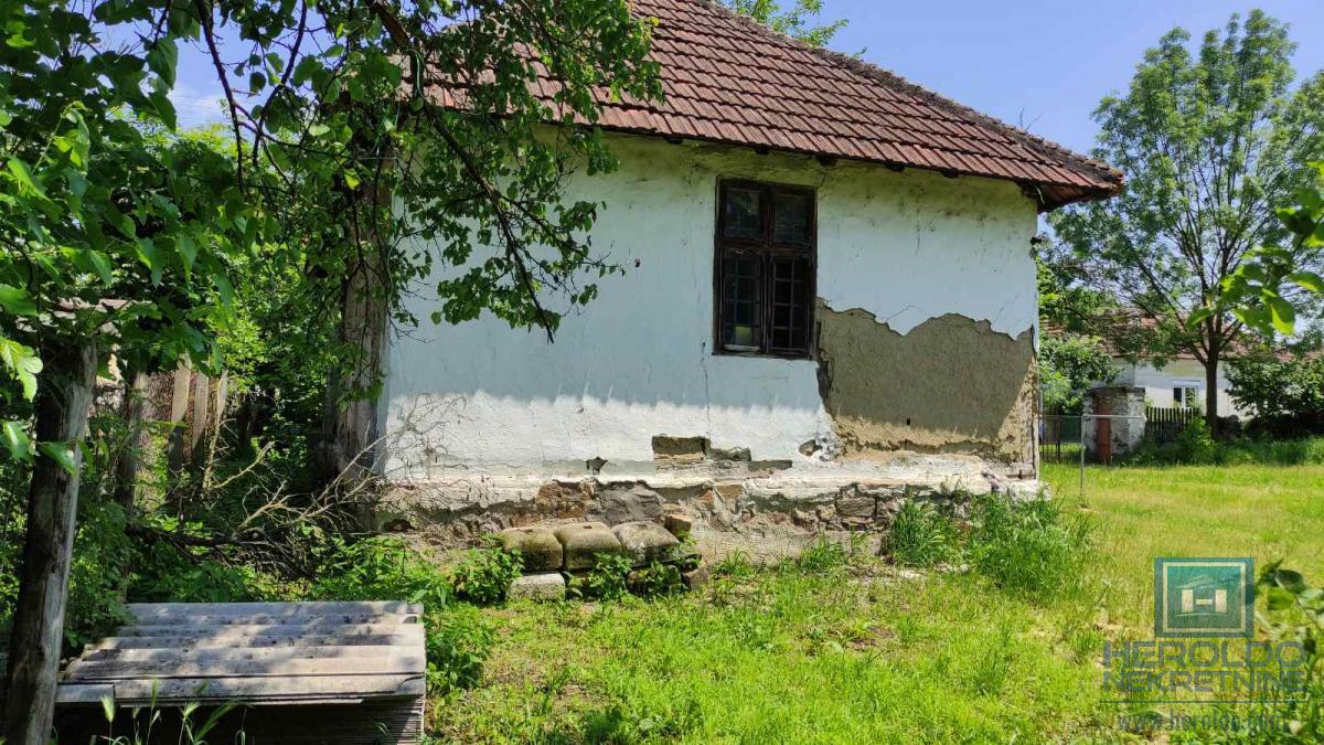 Seosko domacinstvo na 58 ari placa Ribare kod Jagodine 17